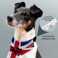 The Jam - Dog Bandana - 4 Sizes, close-up detail