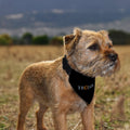Trojan - Dog Bandana - 4 Sizes, side angle