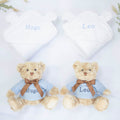 TWIN BOYS TEDDY AND TOWEL GIFT SET, alternate view
