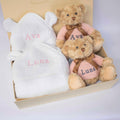 TWIN GIRLS TEDDY AND TOWEL GIFT SET collectible from The Baby Gifting Company