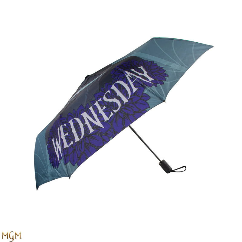 Wednesday with Cello Umbrella, in display