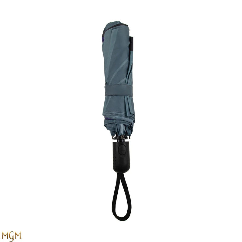 Wednesday with Cello Umbrella, packaging shot