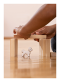 Schleich - Bichon Frise - Image