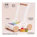 LTV Rainbow Baby Walker & Puzzle