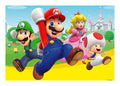 Super Mario 24 Piece Giant Floor Puzzle