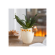 Autumn Plant Pot with Hedgehog