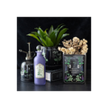 Poisonous Plants Book Shaped Vase