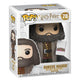 Super 6" - Harry Potter - Hagrid with Cake Series 5 Funko Pop! Vinyl Figure
