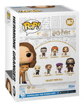 Pop! Vinyl- Hermione with Crookshanks - Image