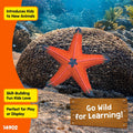 Schleich - Color Change Starfish