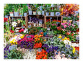 Flower Market, France 500 Piece Jigsaw Puzzle