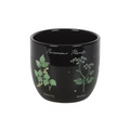 Poisonous Plants Plant Pot