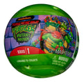 mash-ems-teenage-mutant-ninja-turtles