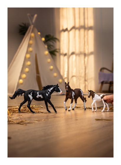 Schleich - Paint Horse Foal