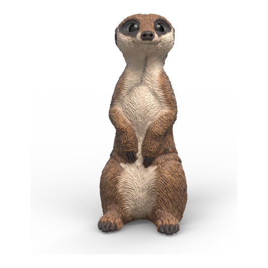 Schleich - Meerkat