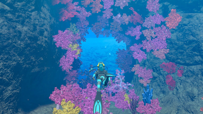 Endless Ocean Luminous - Nintendo Switch close up detail