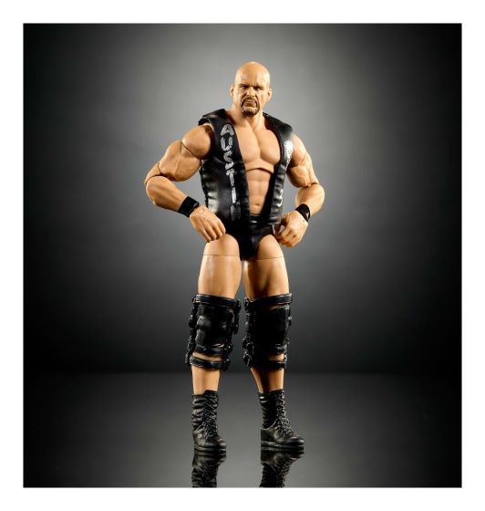 WWE SummerSlam Stone Cold Steve Austin Action Figure