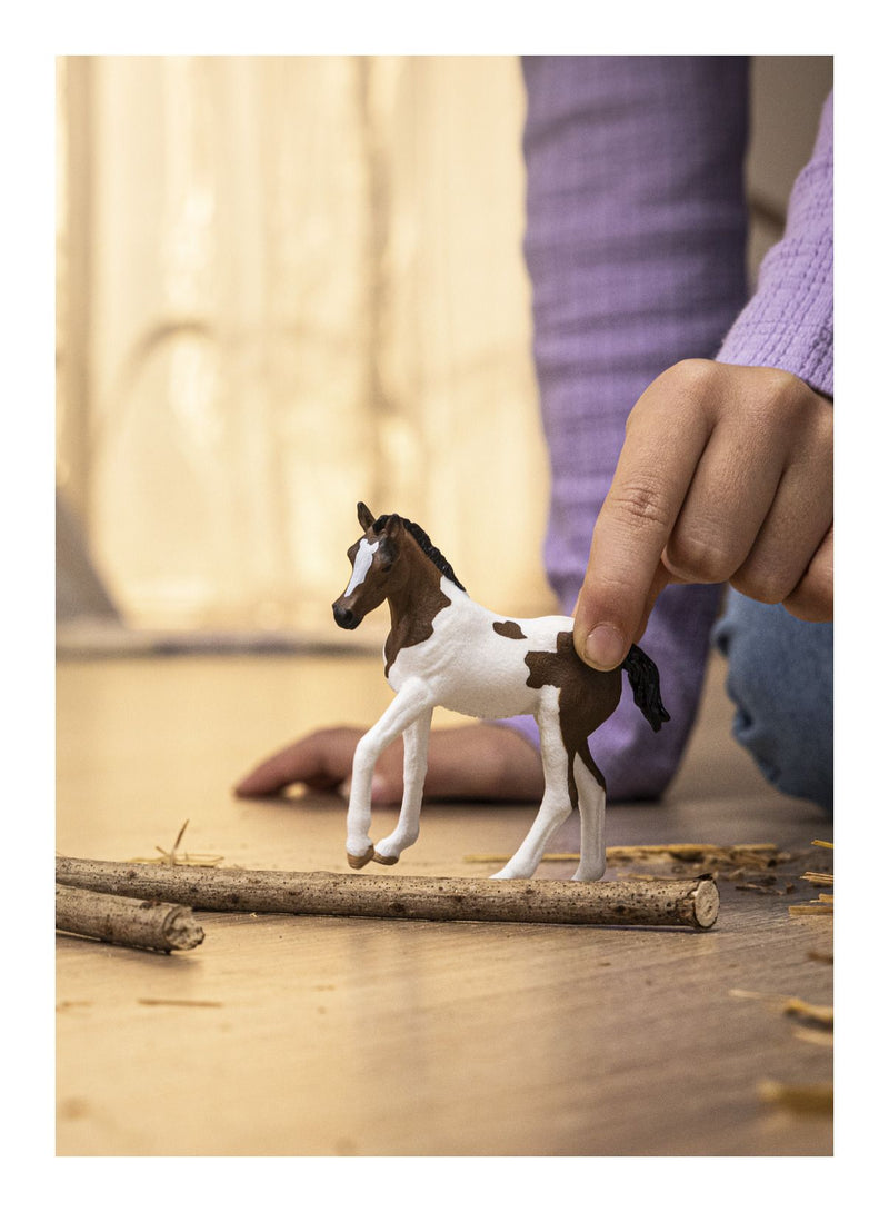 Schleich - Paint Horse Foal - Image