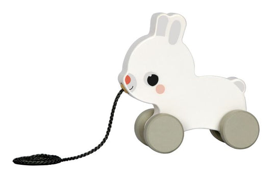 Wooden Pull Along Animals