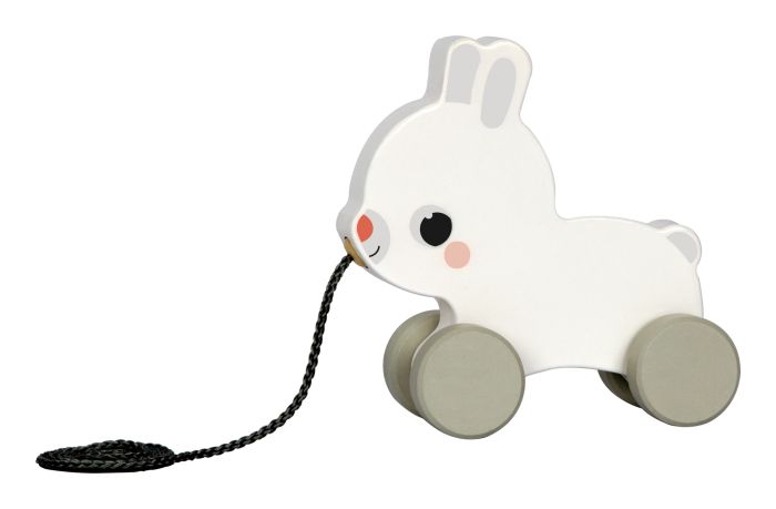 Wooden Pull Along Animals