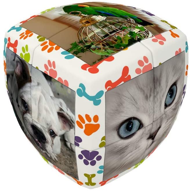 V Cube "2 Essential Pets Cube (Multi Colour)