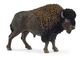 Schleich Bison