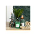 Fawn and Friends Forest Print Ceramic Plant Mister