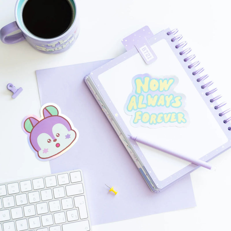 BT21 The Journey Mang Vinyl Stickers Pack of 2 packaging view