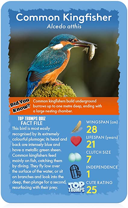 Top Trumps Classics Birds Card Game