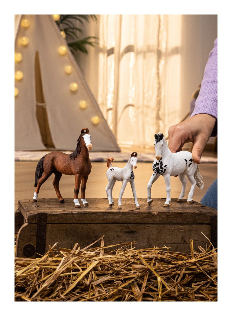 Schleich - Marwari Foal - Image