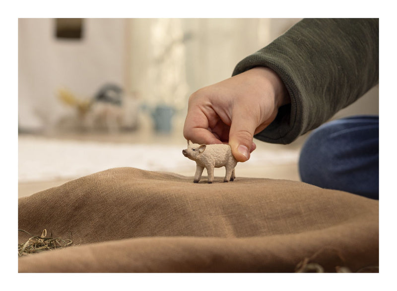 Schleich - Mangalica Piglet - Image
