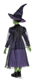Wicked Elphaba Deluxe (7-8) - Image
