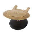 Gold U.S.S. Enterprise NCC-1701-D Model Die Cast Ship SPECIAL ISSUE (Eaglemoss / Star Trek), packaging shot