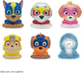 Mash'Ems Paw Patrol (Case of 20)