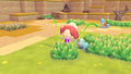 Pokémon Pokopia - Nintendo Switch 2 close up detail