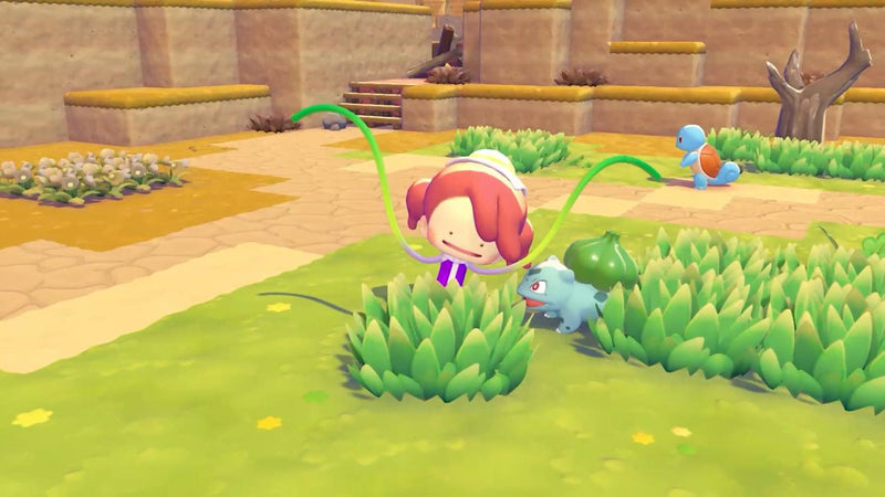 Pokémon Pokopia - Nintendo Switch 2 close up detail