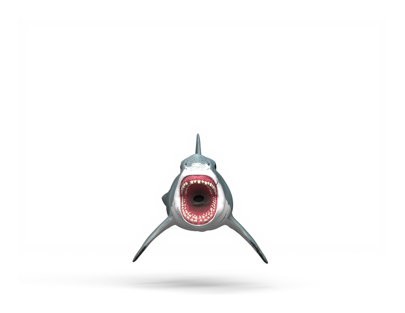Schleich - Megalodon - Image