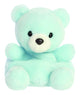 Palm Pals Benny Baby Bear 5in