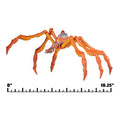 Monsterverse 6" Titanus Scylla