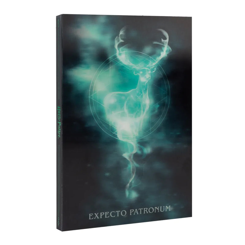 A5 Harry Potter Lenticular Notebook