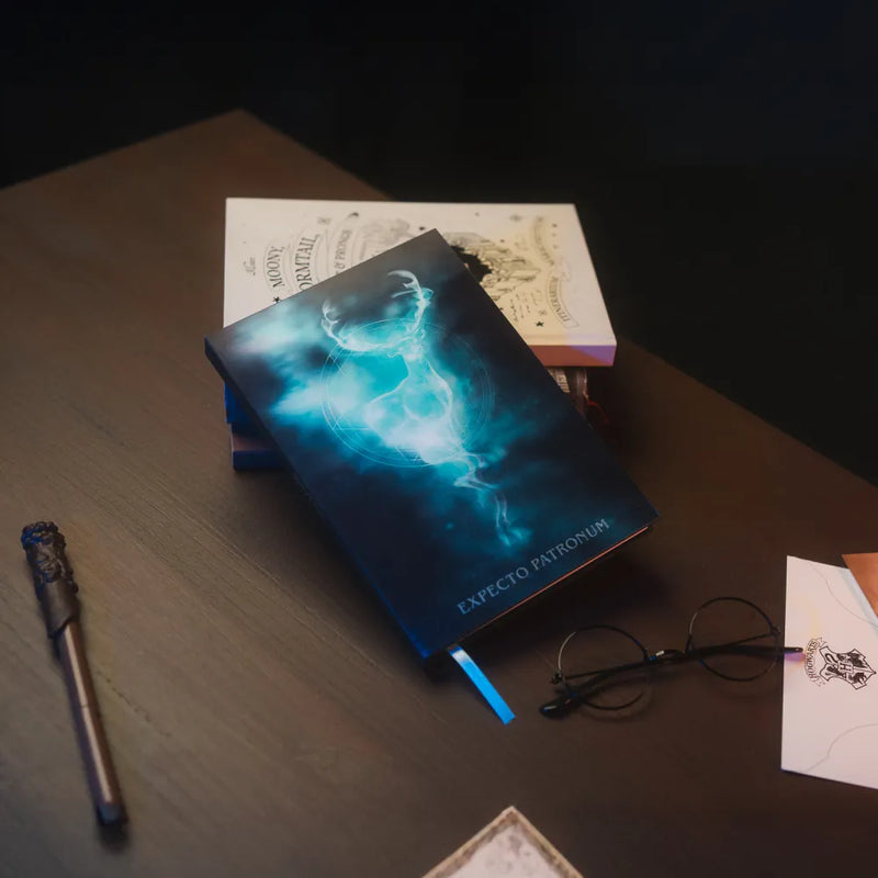 A5 Harry Potter Lenticular Notebook