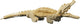 Crocodile Wood Construction Set