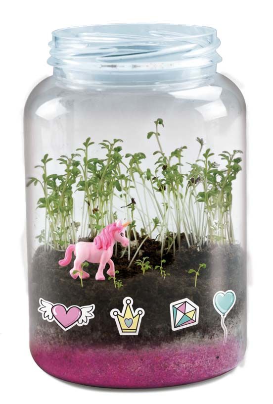 Unicorn Terrarium - Image