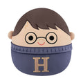 Squishmallows - 10in Harry Potter in Sweater
