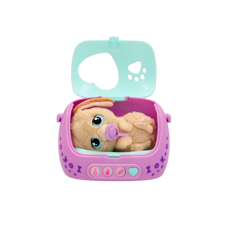 Baby Paws - Just Born - Puppy - Image