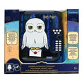 Hedwig Secret Safe Electronic Notebook