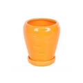 Carrot Shaped Plant Pot with Parsley Seed Balls
