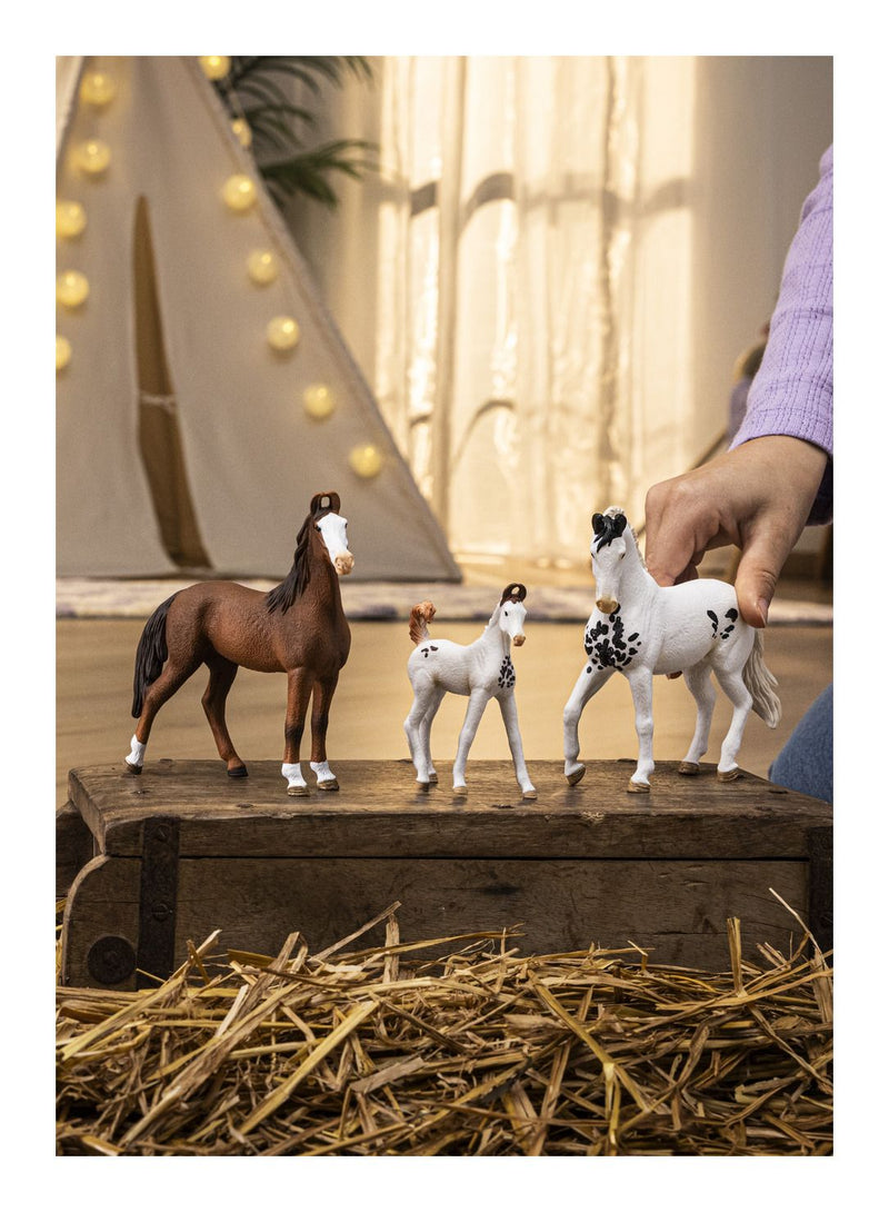 Schleich - Marwari Foal - Image