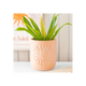 Terracotta Sun Plant Pot