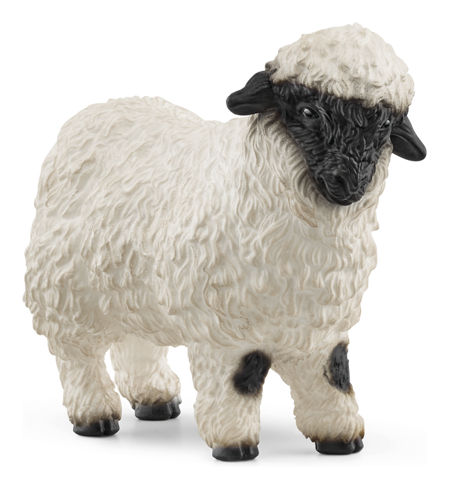 Schleich - Bichon Frise - Image